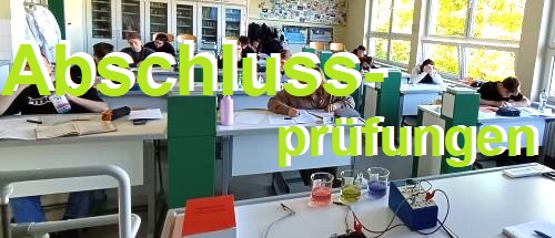 mslauta