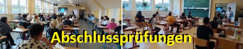 mslauta